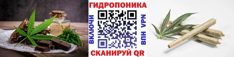 Купить где  Кедровый  Canna-Cookies марихуана 