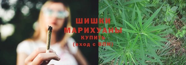 стафф Козловка