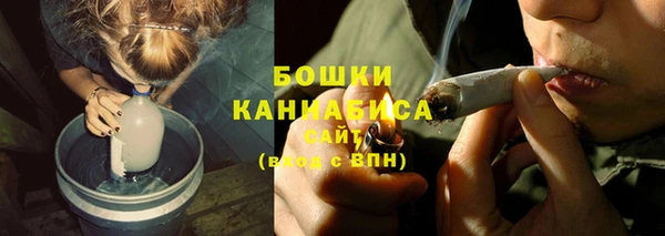 стафф Козловка