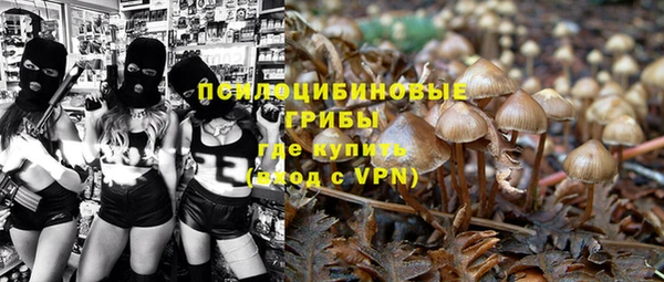 стафф Козловка