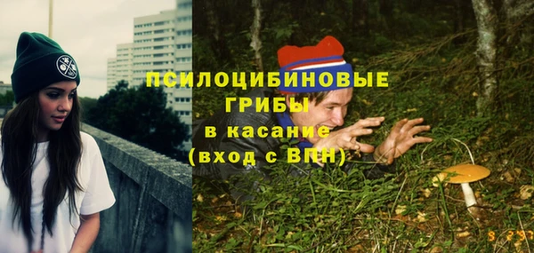 стафф Козловка