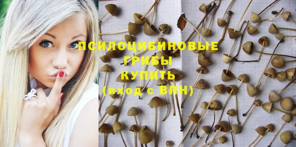 тгк Козельск