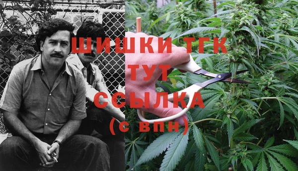 тгк Козельск