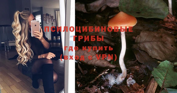 тгк Козельск
