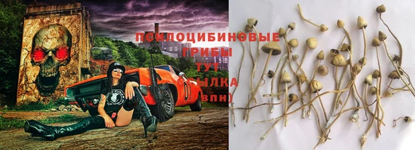 гидропоника Киренск