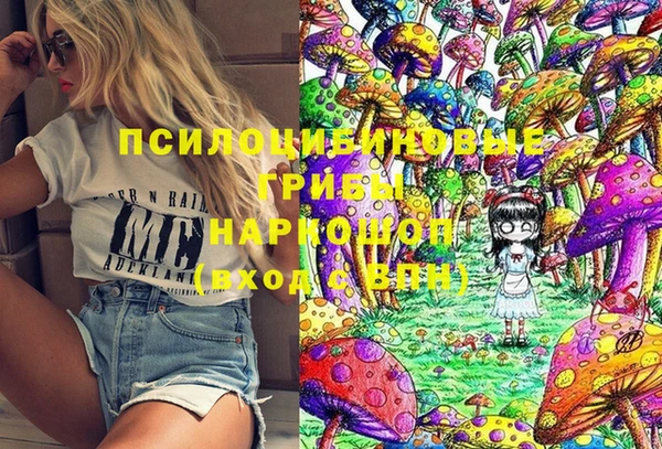 тгк Козельск