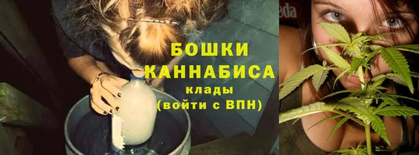 mix Кодинск