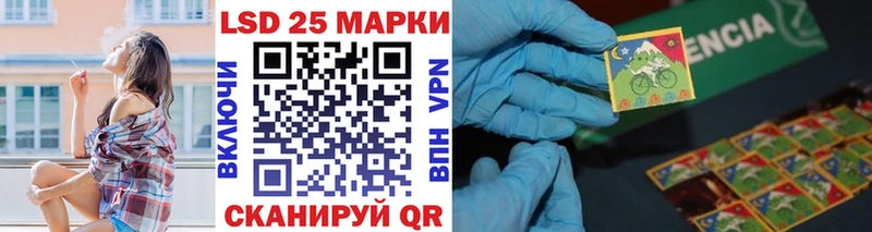 Купить закладки  Кедровый  Марки N-bome 1,5мг 