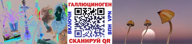 Псилоцибиновые грибы MAGIC MUSHROOMS  Купить  Кедровый 